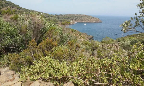 Cap de Creus y Empordà
