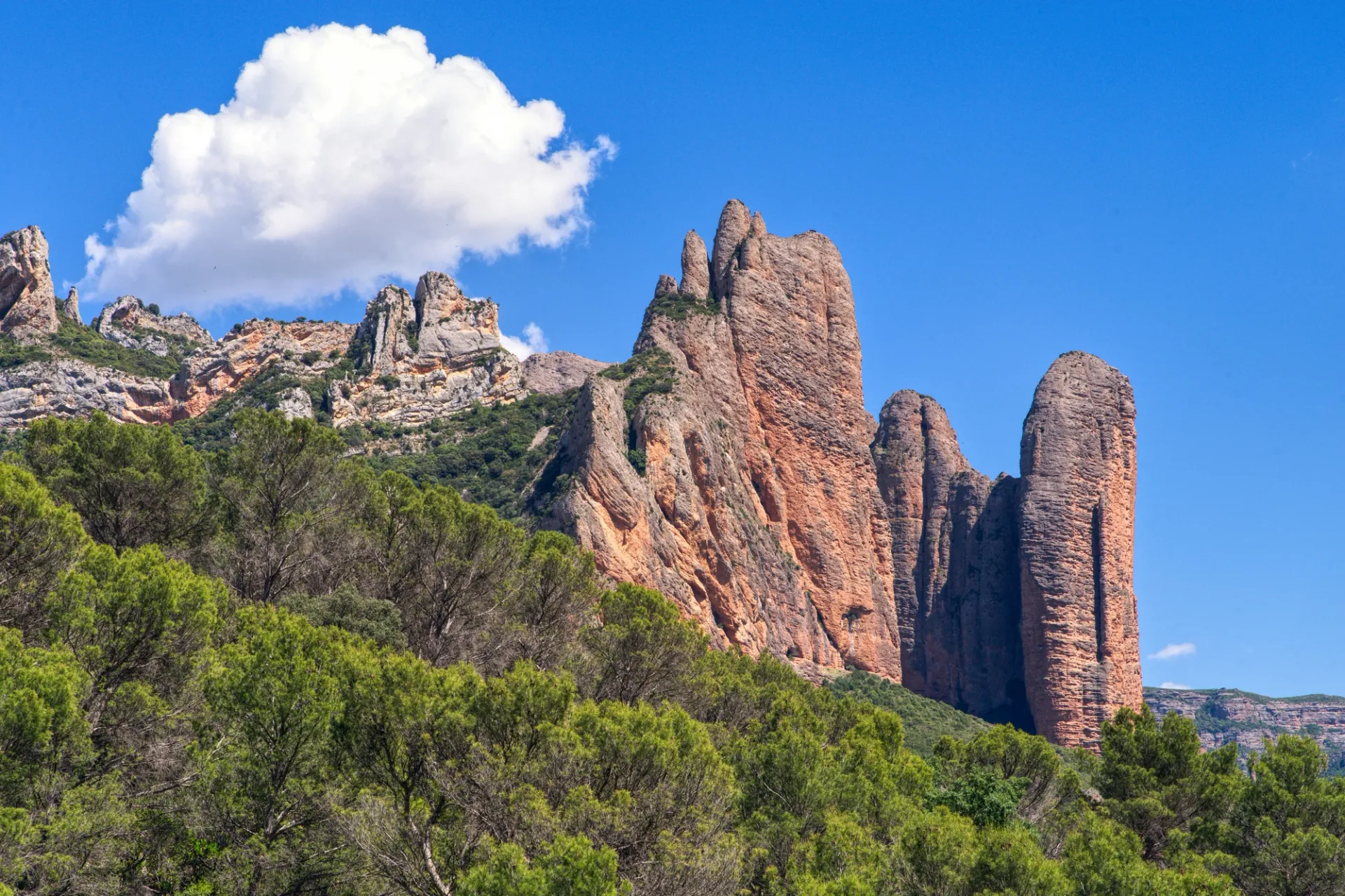 Formaciones rocosas de color ocre rojizo y montañas cubiertas de pinos bajo un cielo azul con una nube.