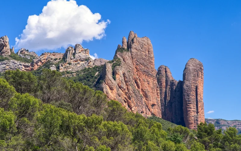 Formaciones rocosas de color ocre rojizo y montañas cubiertas de pinos bajo un cielo azul con una nube.