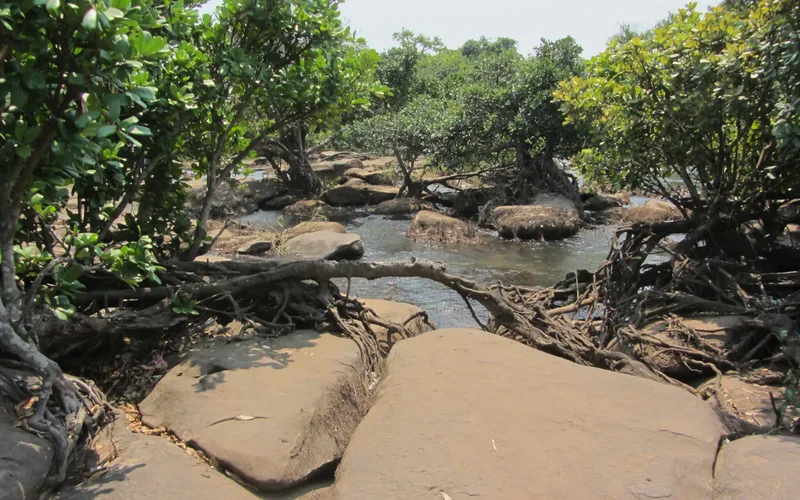 Paisaje rocoso de las cataratas de Kalandula, con vegetación verde exuberante, raíces expuestas y agua fluyendo entre piedras