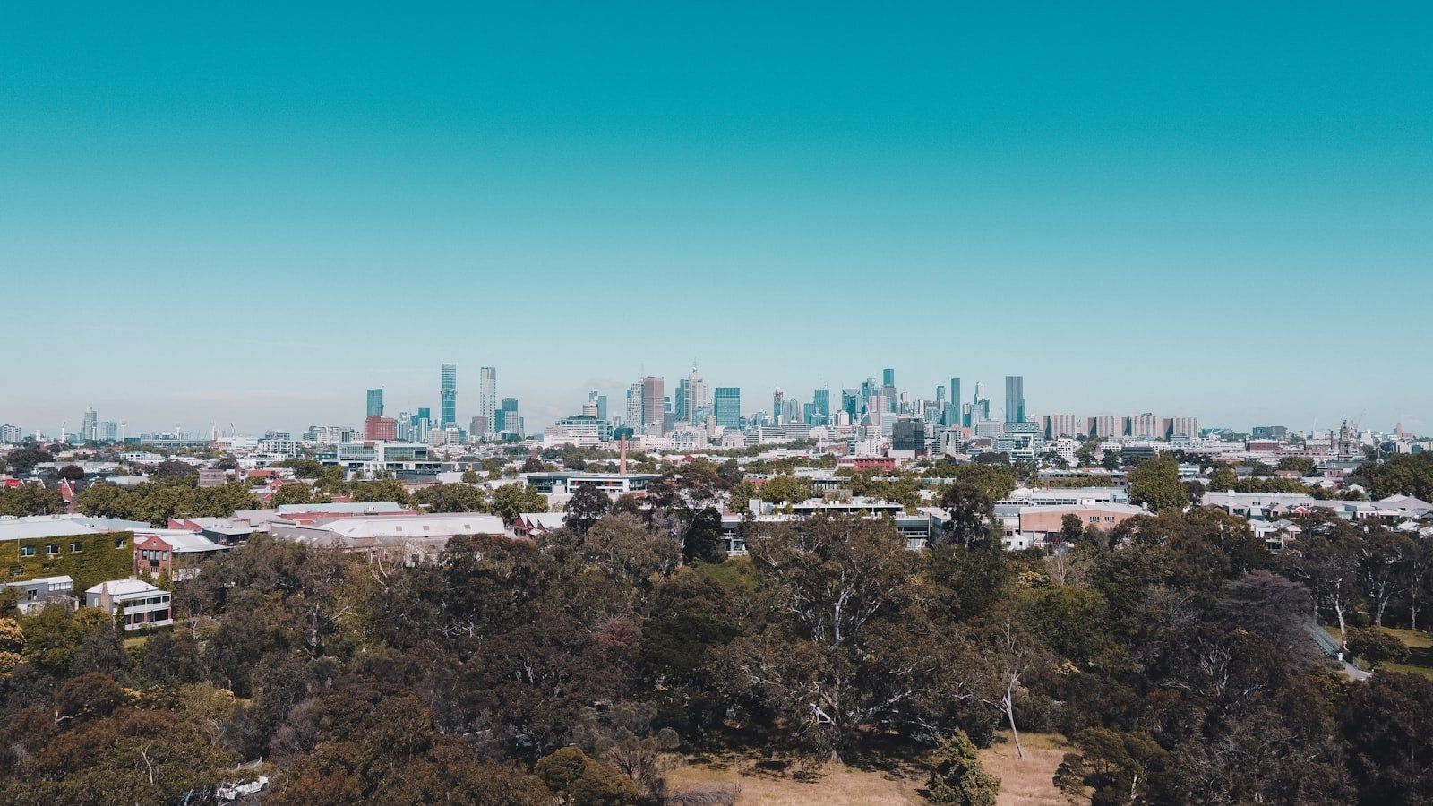 Vista panorámica de Melbourne con skyline de rascacielos altos bajo un cielo azul claro, con árboles y vegetación en primer plano