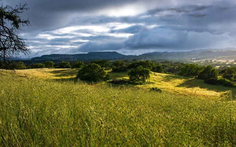 Un paisaje de colinas verdes y amarillas bajo un cielo nublado con luz solar parcial.