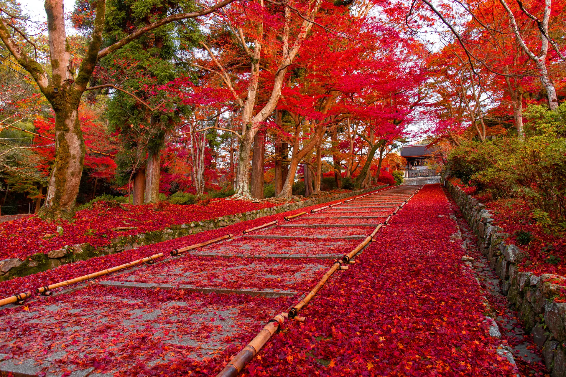 Qué ver en Japón en otoño: 12 lugares y cuándo llega el color a cada uno