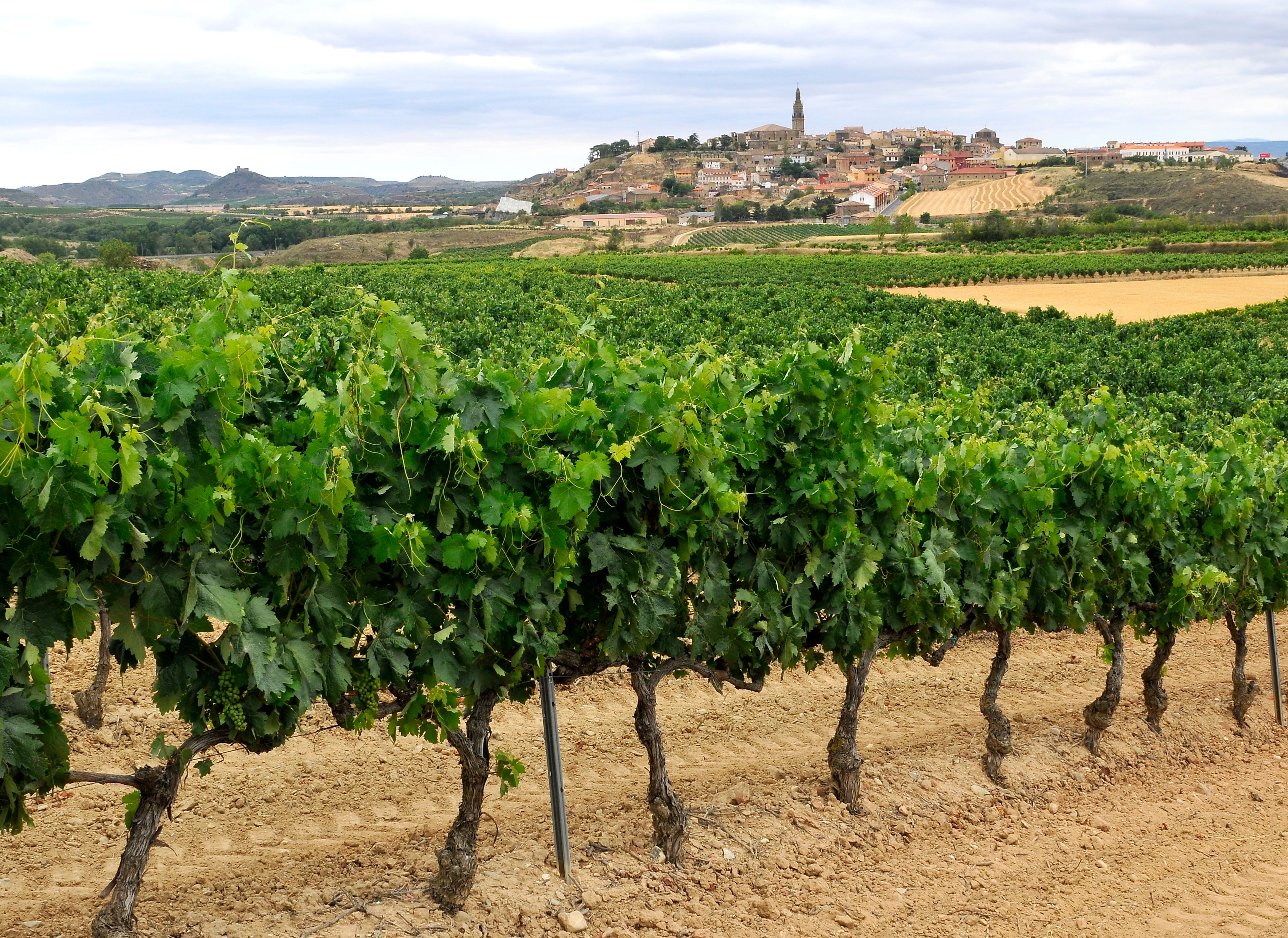 Rioja Alta and Haro
