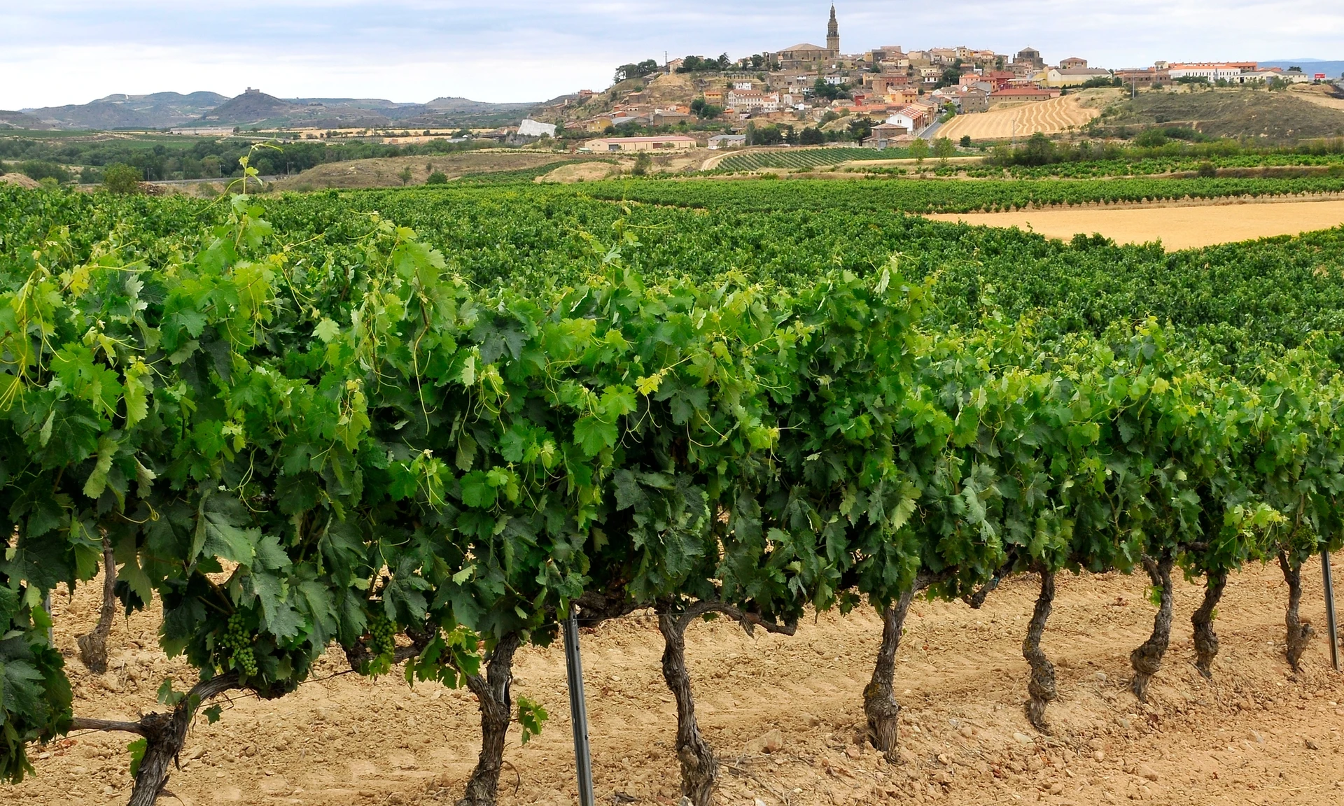 Rioja Alta y Haro