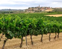 Rioja Alta y Haro