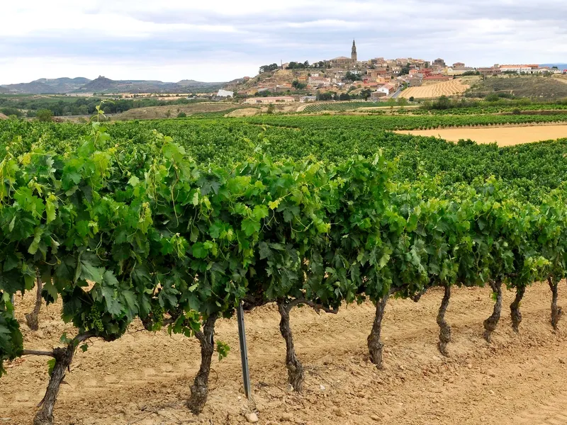 Rioja Alta y Haro
