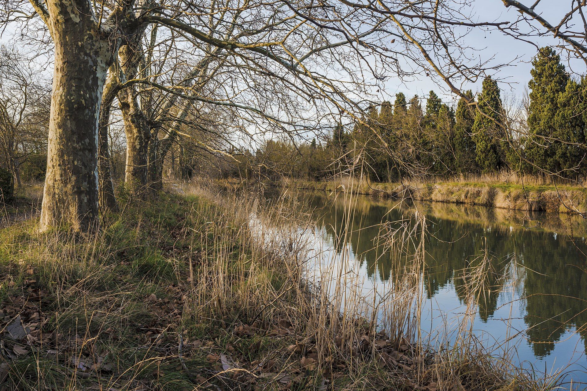 Canal du Midi: Toulouse a Béziers