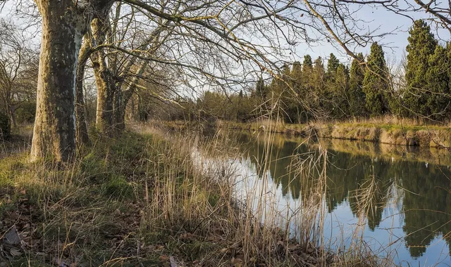 Canal du Midi : de Toulouse à Béziers