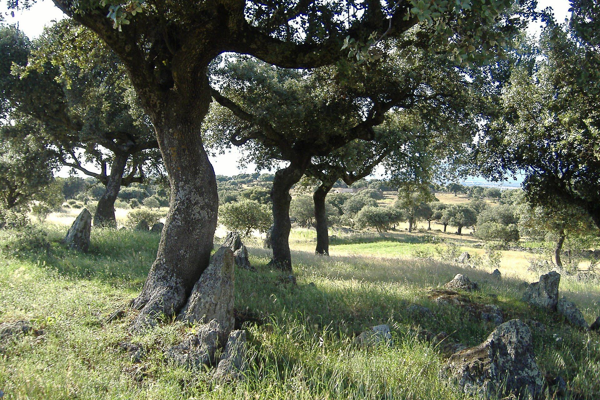 Extremadura
