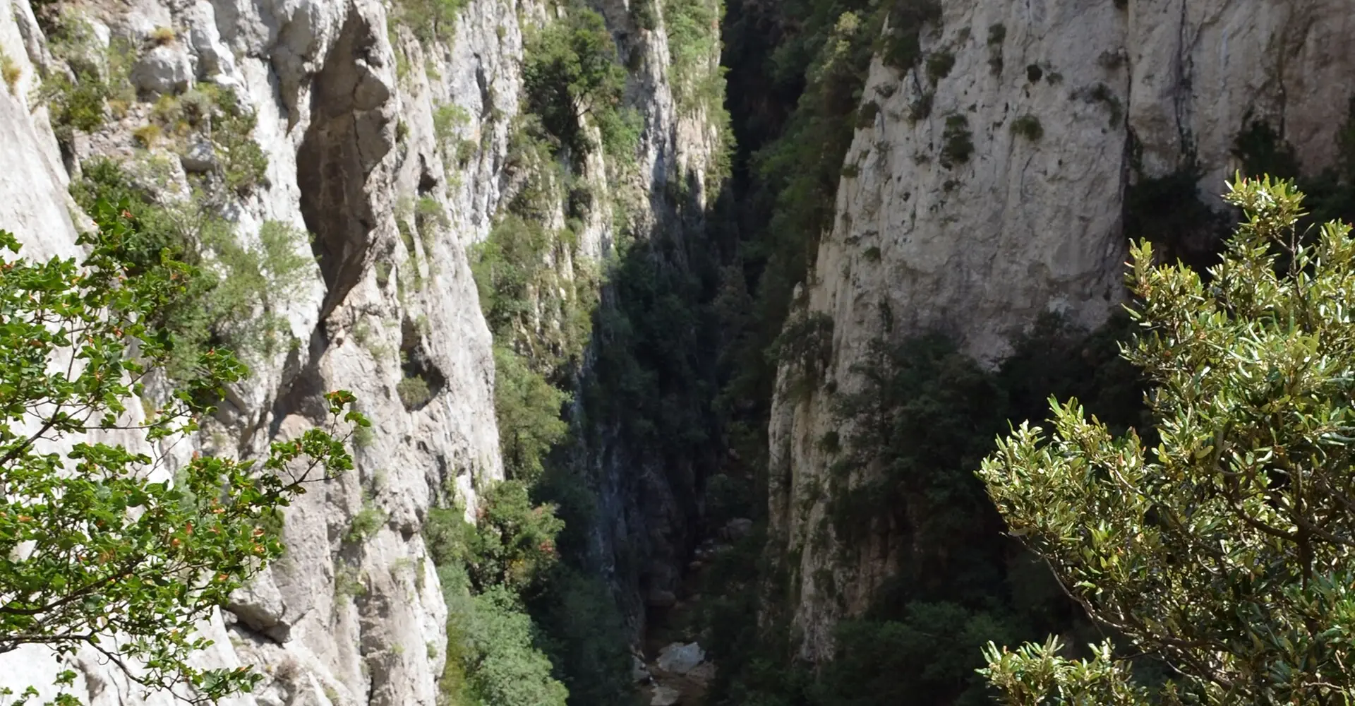gorges-galamus-pays-cathare