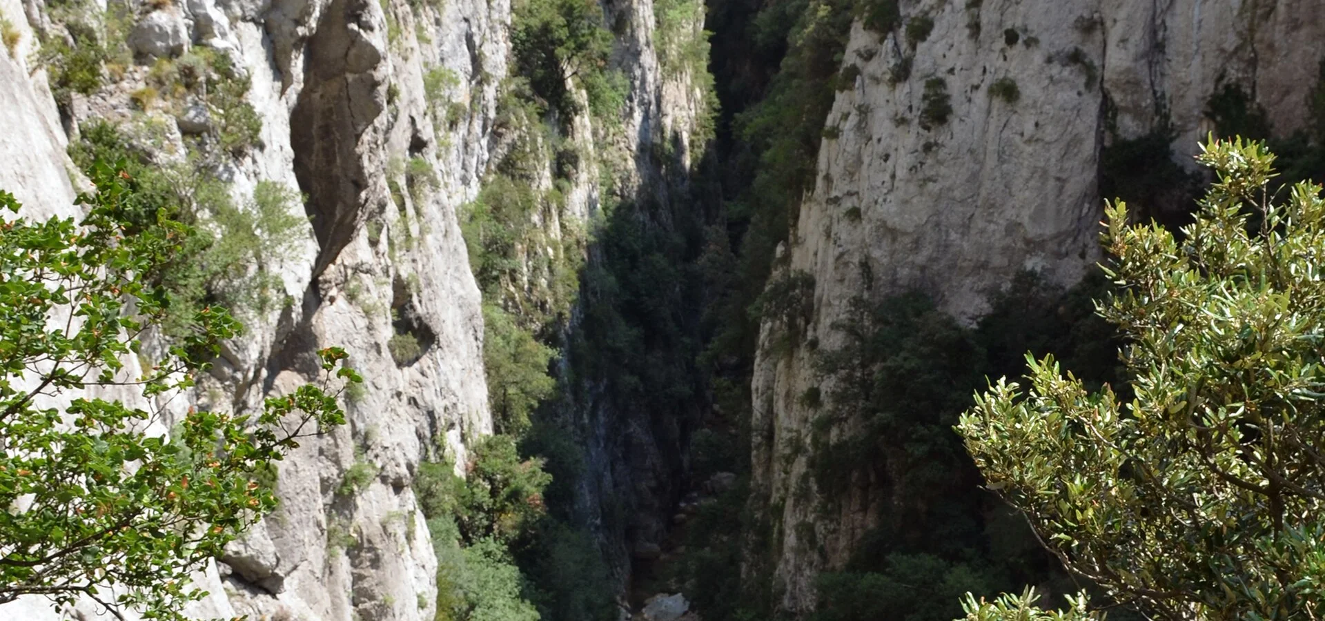 gorges-galamus-pays-cathare