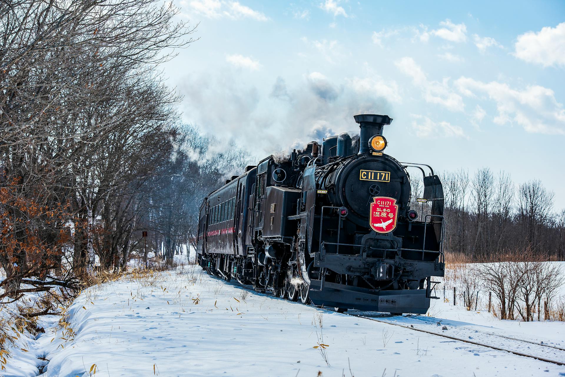 Locomotora de vapor negra en movimiento por vías nevadas, con humo saliendo de la chimenea, árboles desnudos y cielo azul claro