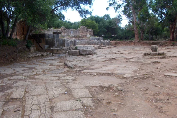 Costa de Turquesa: Tipasa, Cherchell y Ténès