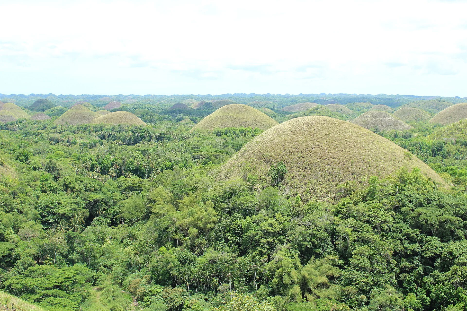 Vista panorámica de las Chocolate Hills en Bohol, Filipinas, con colinas cónicas cubiertas de hierba seca y vegetación verde.