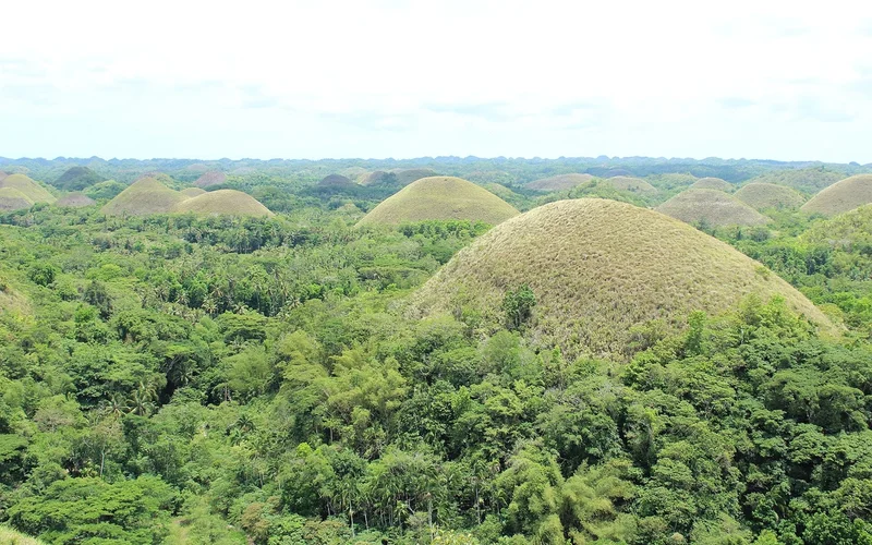 Vista panorámica de las Chocolate Hills en Bohol, Filipinas, con colinas cónicas cubiertas de hierba seca y vegetación verde.