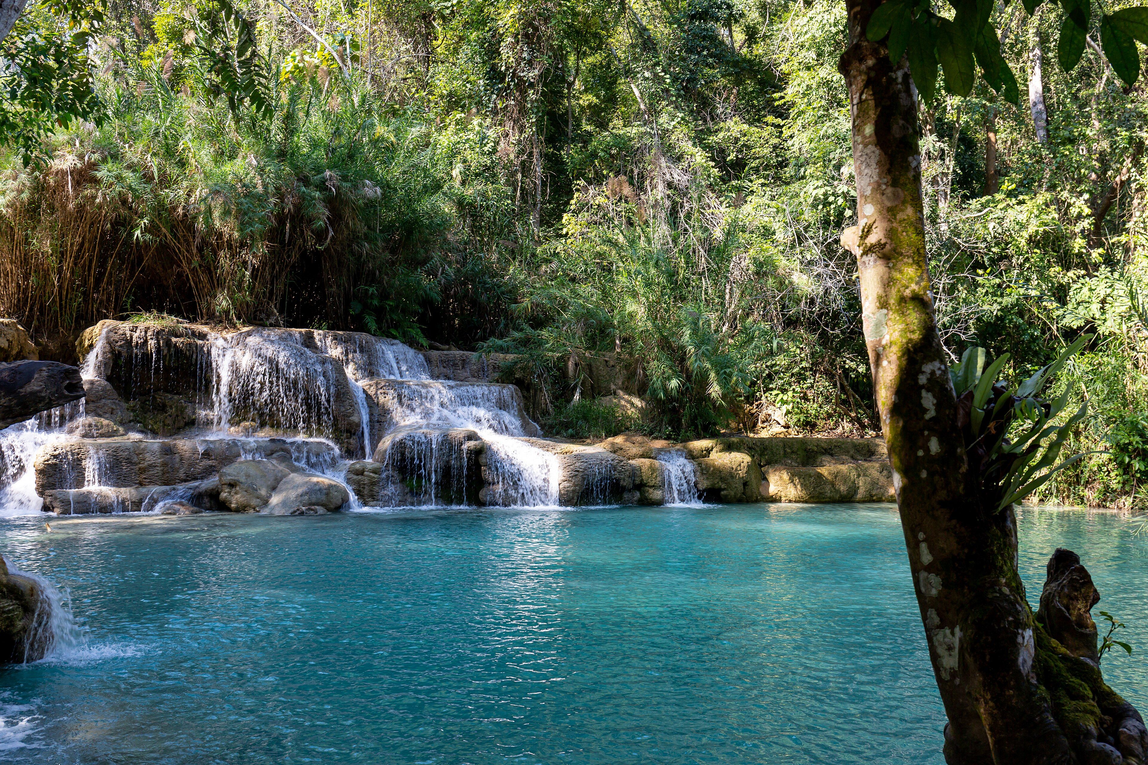 Pequeñas cascadas sobre escalones de roca que caen en una poza de agua turquesa rodeada de selva.