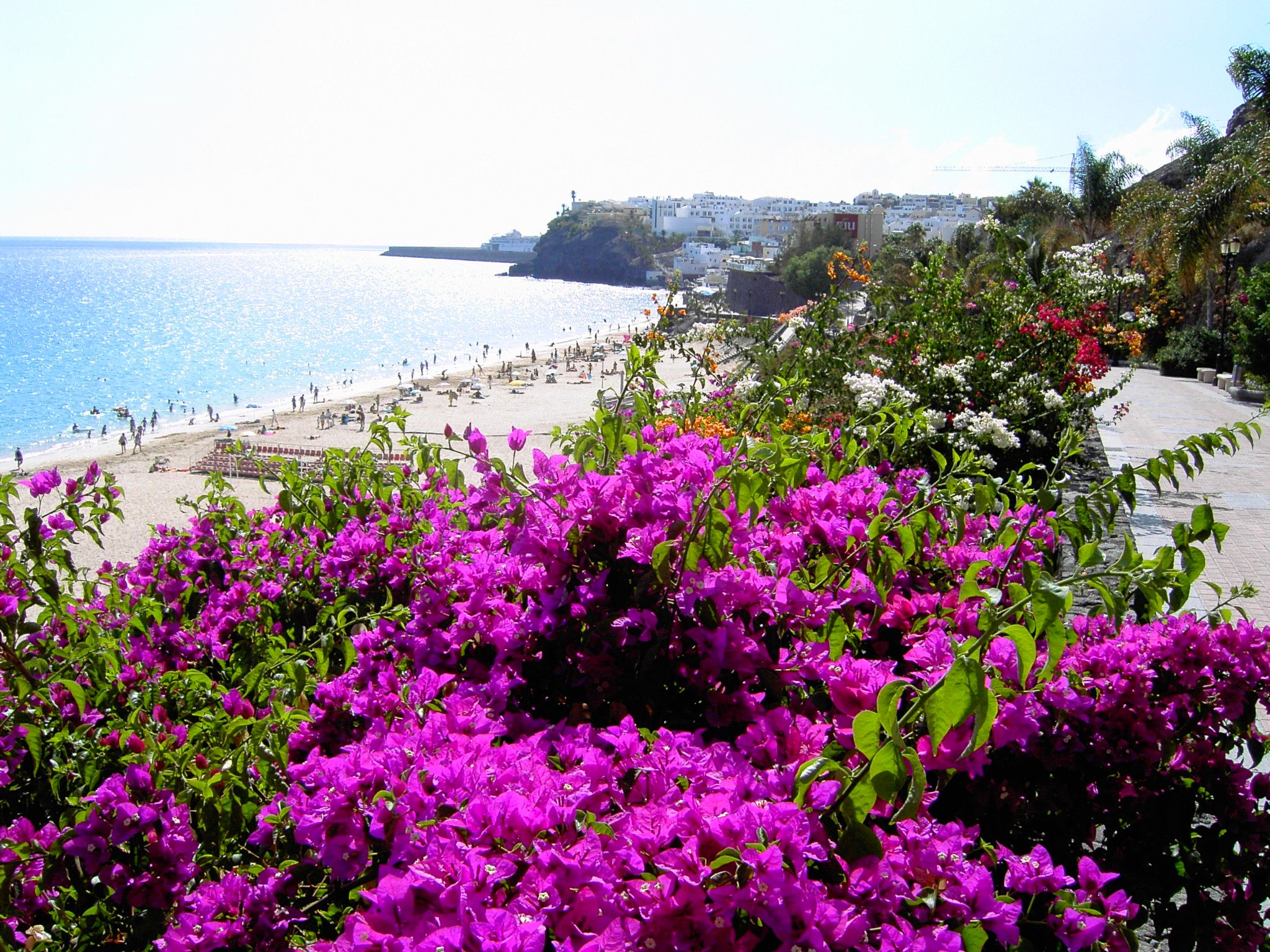 Vista panorámica de la playa de Morro Jable con aguas turquesas y arena dorada