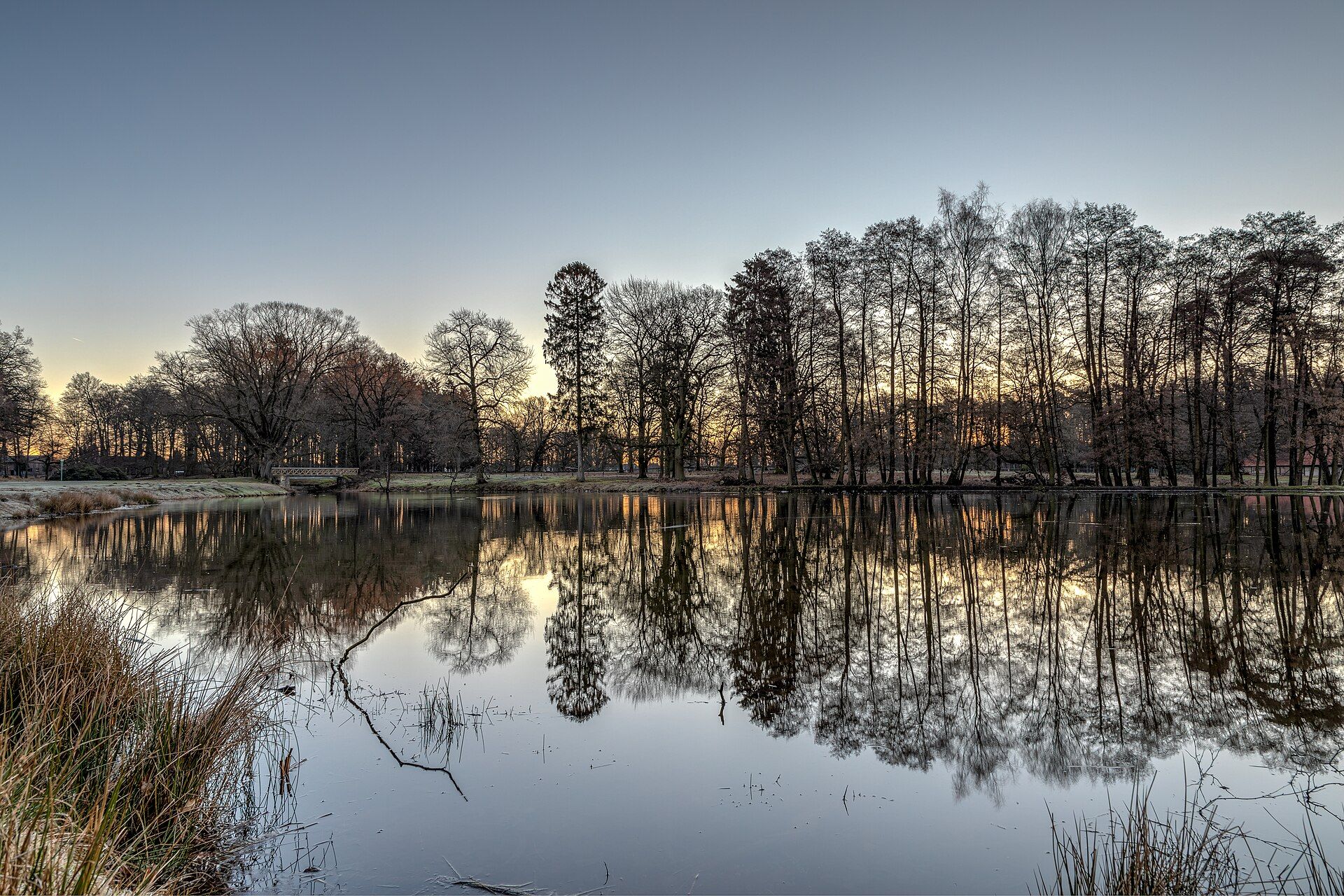 Un lago sereno con árboles reflejados en el agua al atardecer, con un cielo claro.
