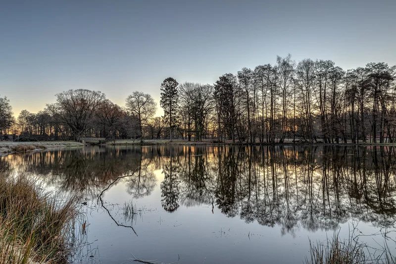 Un lago sereno con árboles reflejados en el agua al atardecer, con un cielo claro.