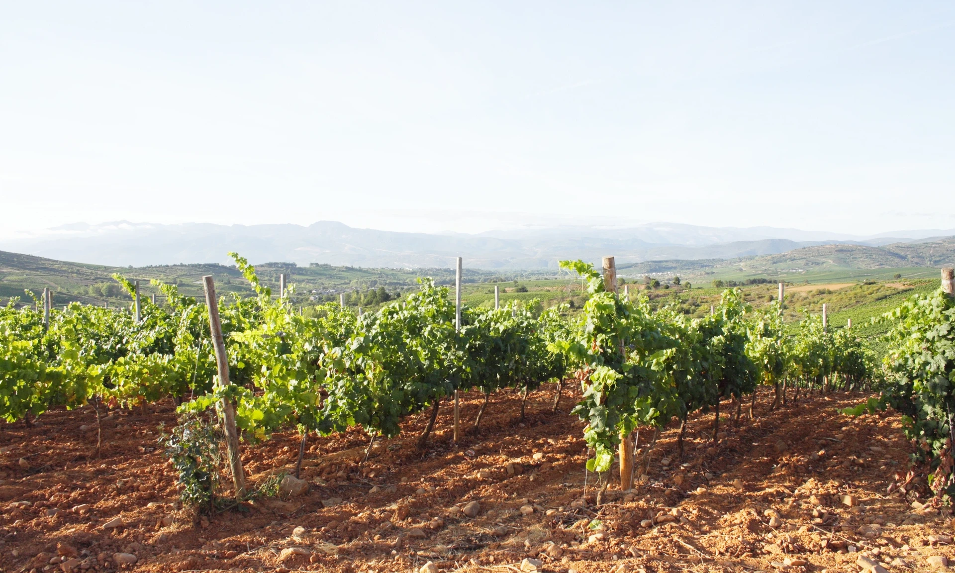 Bierzo