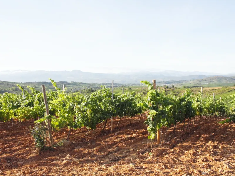 Bierzo