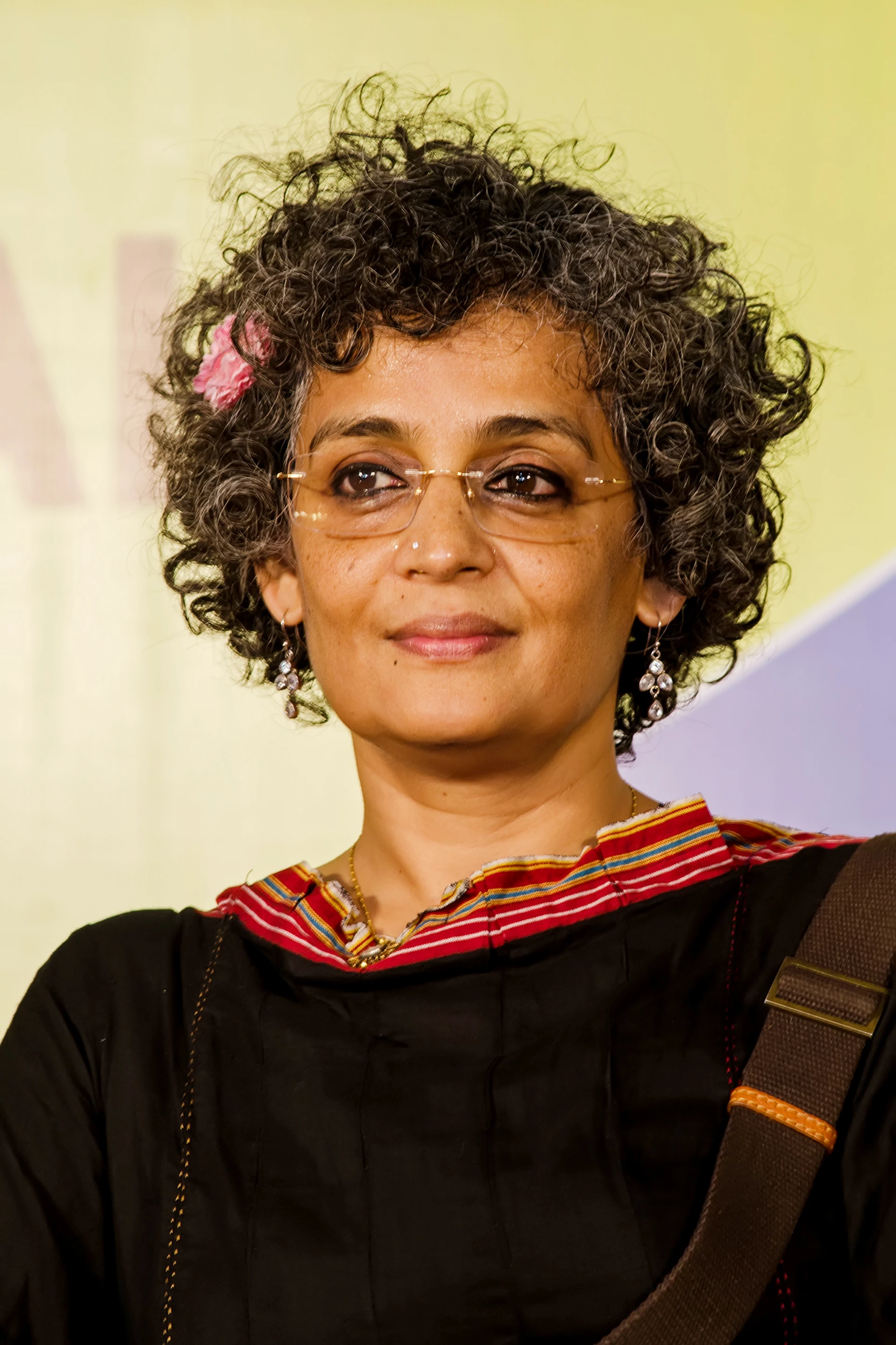 Arundhati Roy, autor