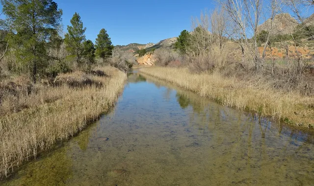 Canyon fluvial des Hoces del Cabriel près de Requena