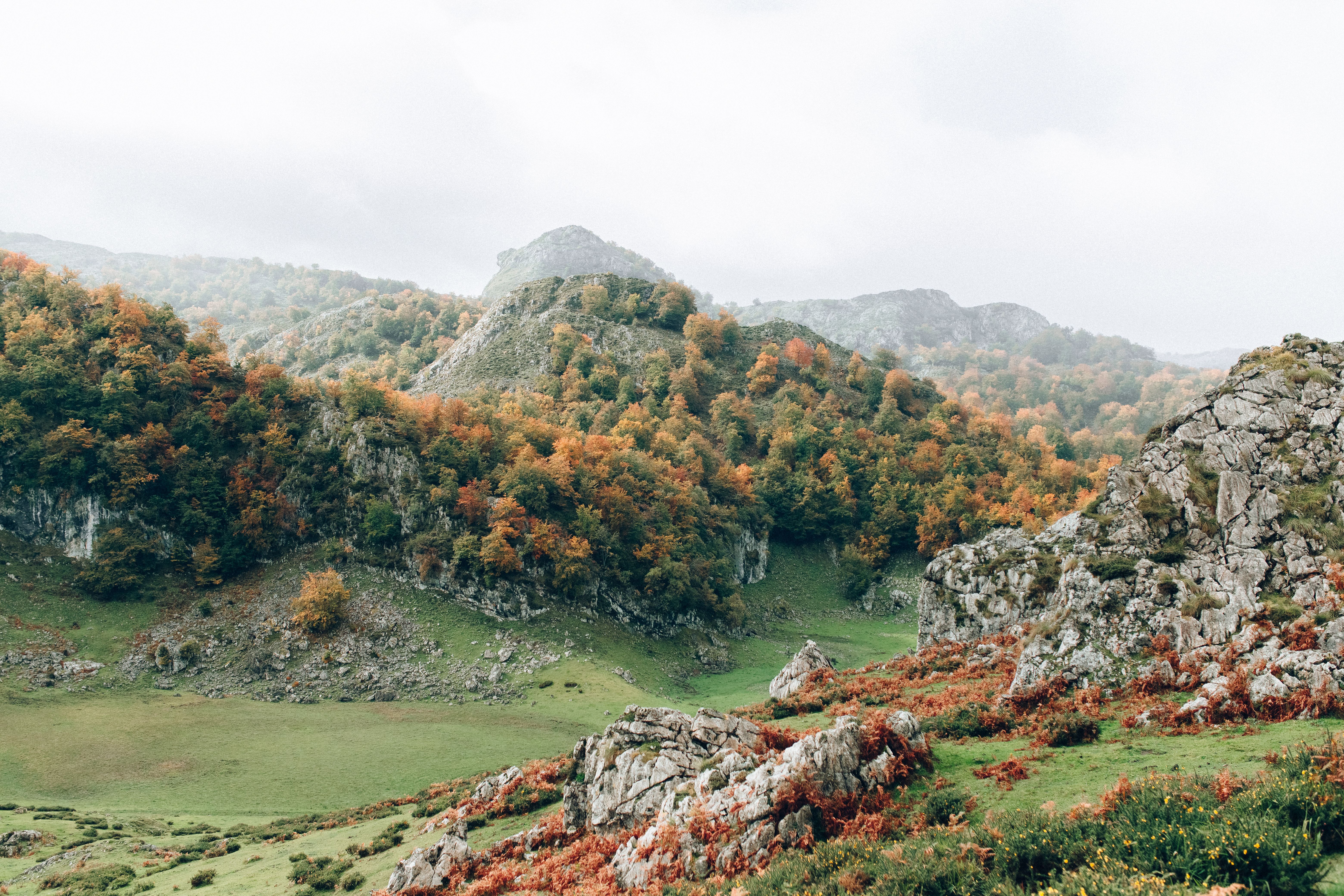 Paisaje montañoso con árboles de follaje otoñal, rocas y prados verdes bajo un cielo nublado.