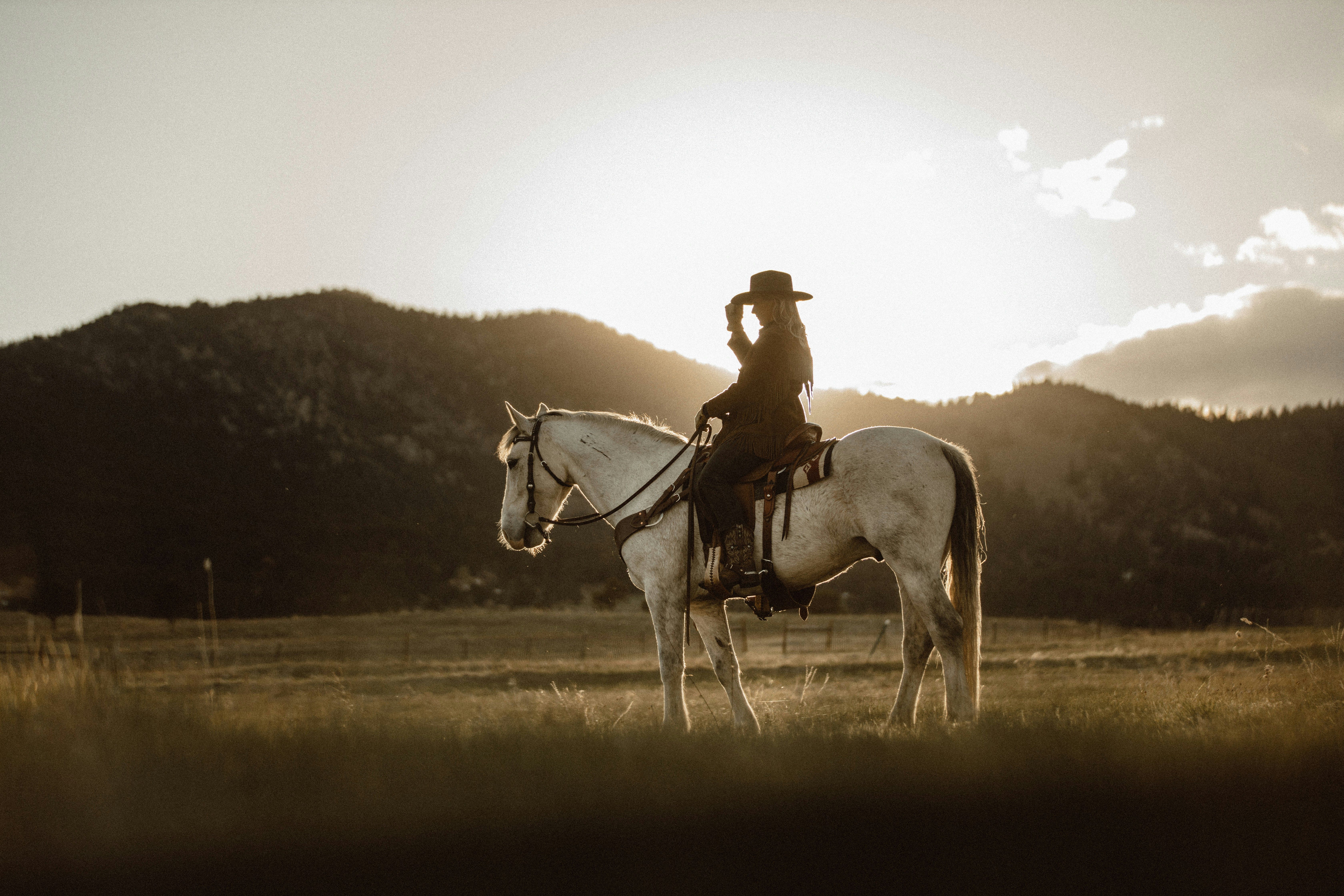 Silueta de una persona a caballo en un campo al atardecer, con montañas de fondo.