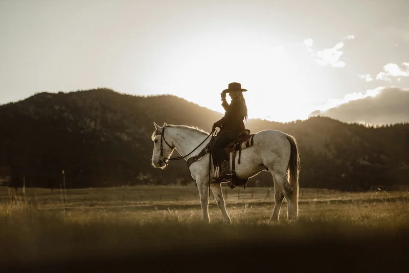 Silueta de una persona a caballo en un campo al atardecer, con montañas de fondo.