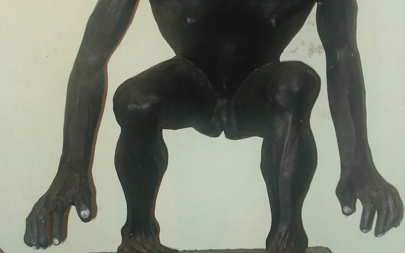 Escultura oscura de una criatura humanoide con cabello largo y ojos blancos, agachada sobre un pedestal.