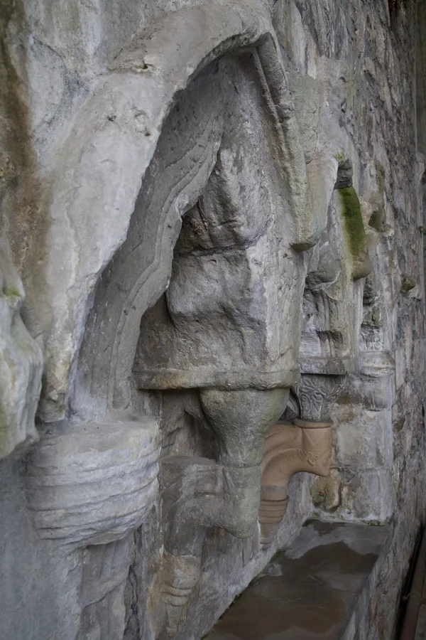 Detalle de una arcada de piedra antigua con relieves y vegetación, mostrando texturas y formas arquitectónicas.