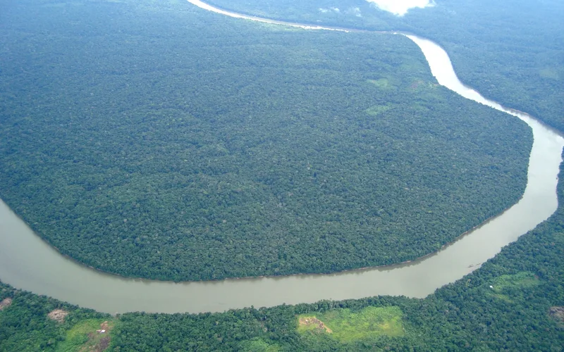 Vista aérea del río Amazonas serpenteando entre la exuberante selva verde en Leticia, Colombia