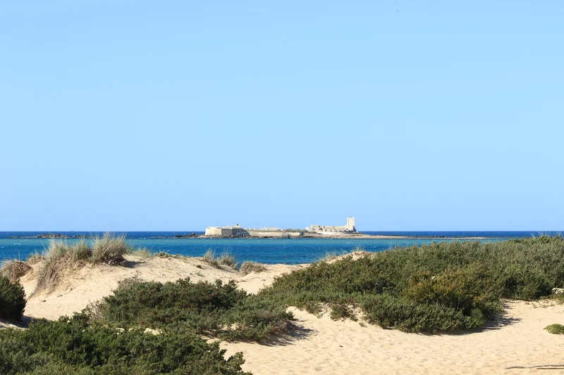Vista panorámica de dunas de arena con vegetación, el mar azul y el Castillo de Sancti Petri a lo lejos.