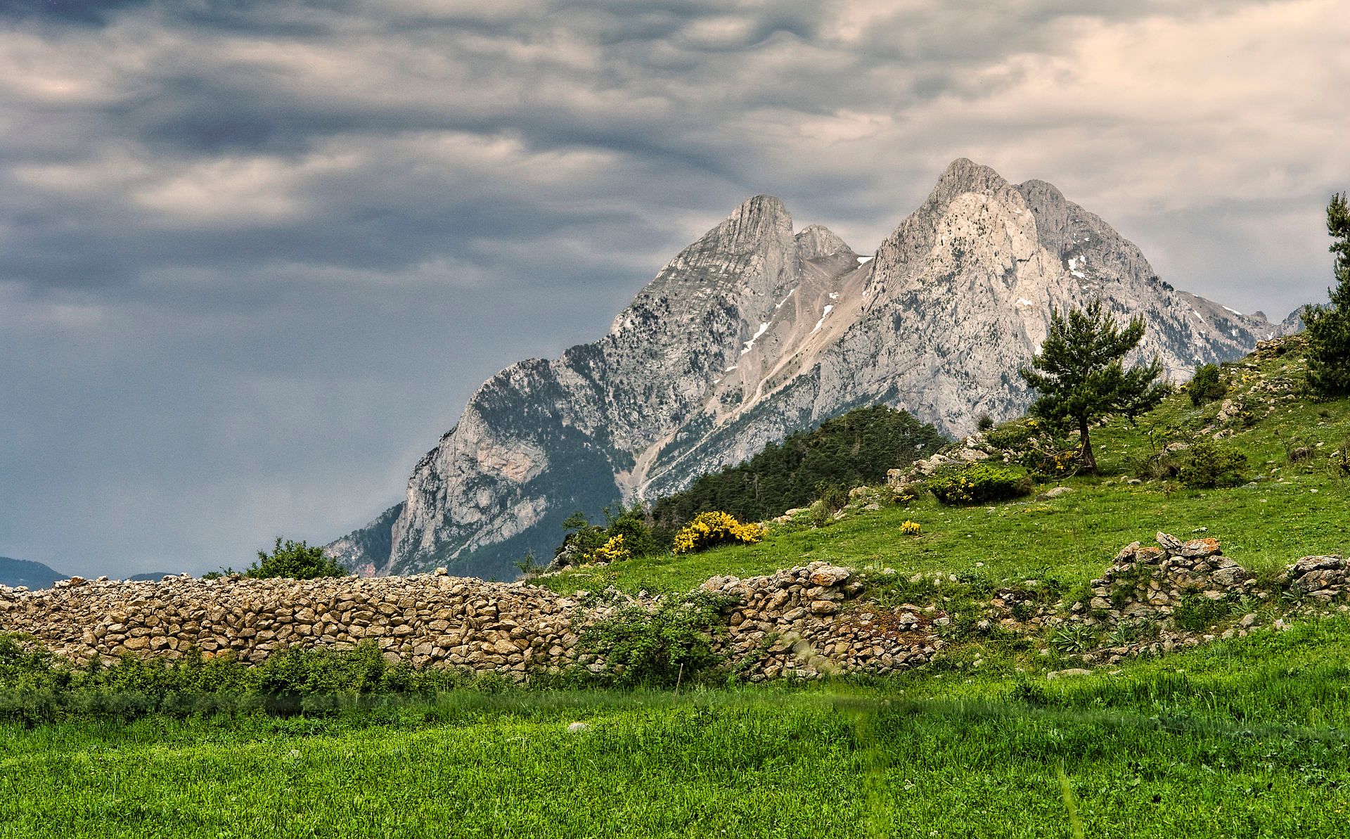 Coll de Pal y Cadí - Berguedà