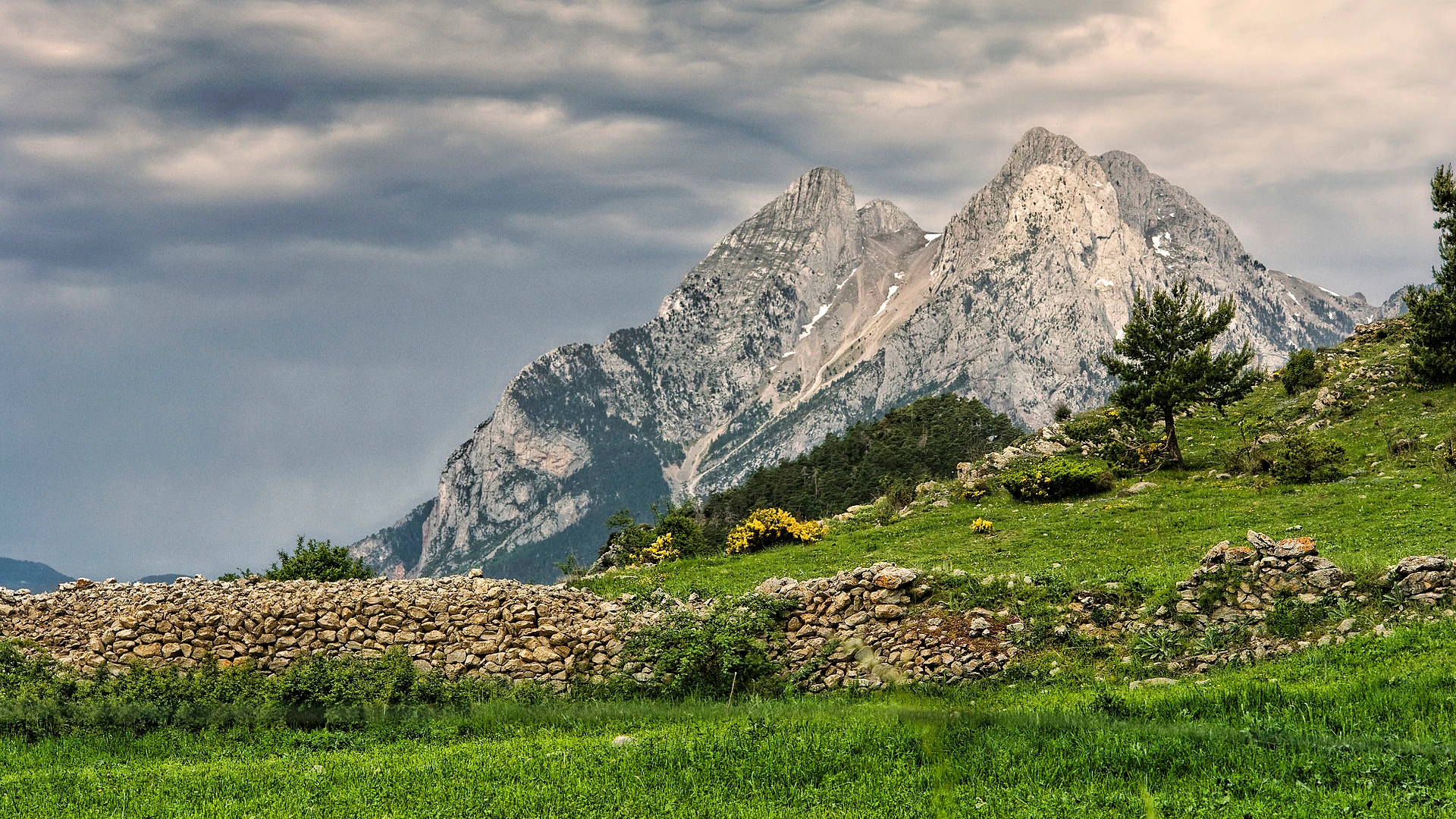 Coll de Pal y Cadí - Berguedà