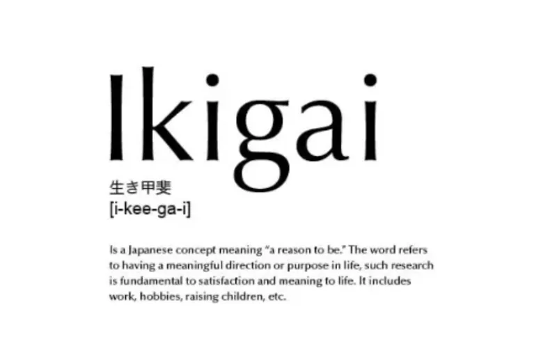 Texto de Ikigai (生き甲斐) en letras grandes, con definición sobre su significado como razón de ser y propósito en la vida