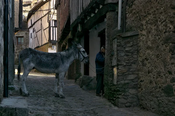 Sierra de Francia y La Alberca
