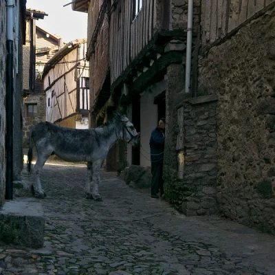 Sierra de Francia y La Alberca