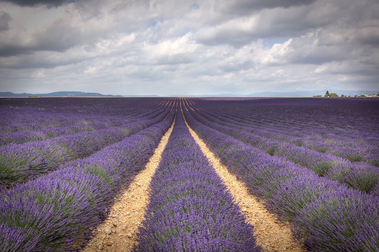 Provenza y Camargue