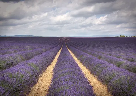 Provence et Camargue