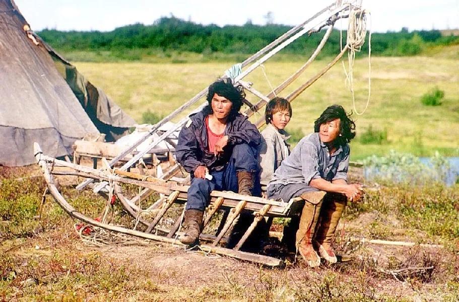 Nenets, los pastores nómadas del Ártico