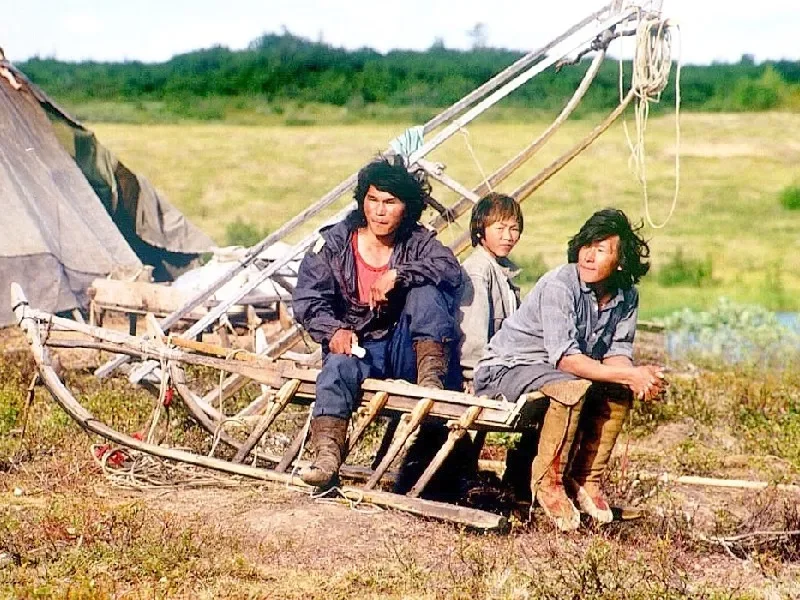 Arte y Cultura - este fascinante destino - Nenets, los pastores nómadas del Ártico
