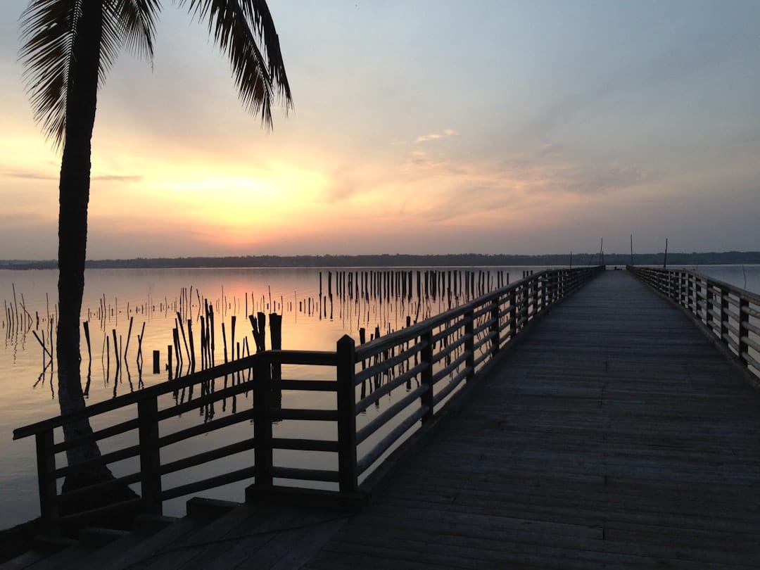 Muelle de madera extendiéndose sobre un lago al atardecer en Benin, con palmeras y postes sumergidos en el agua
