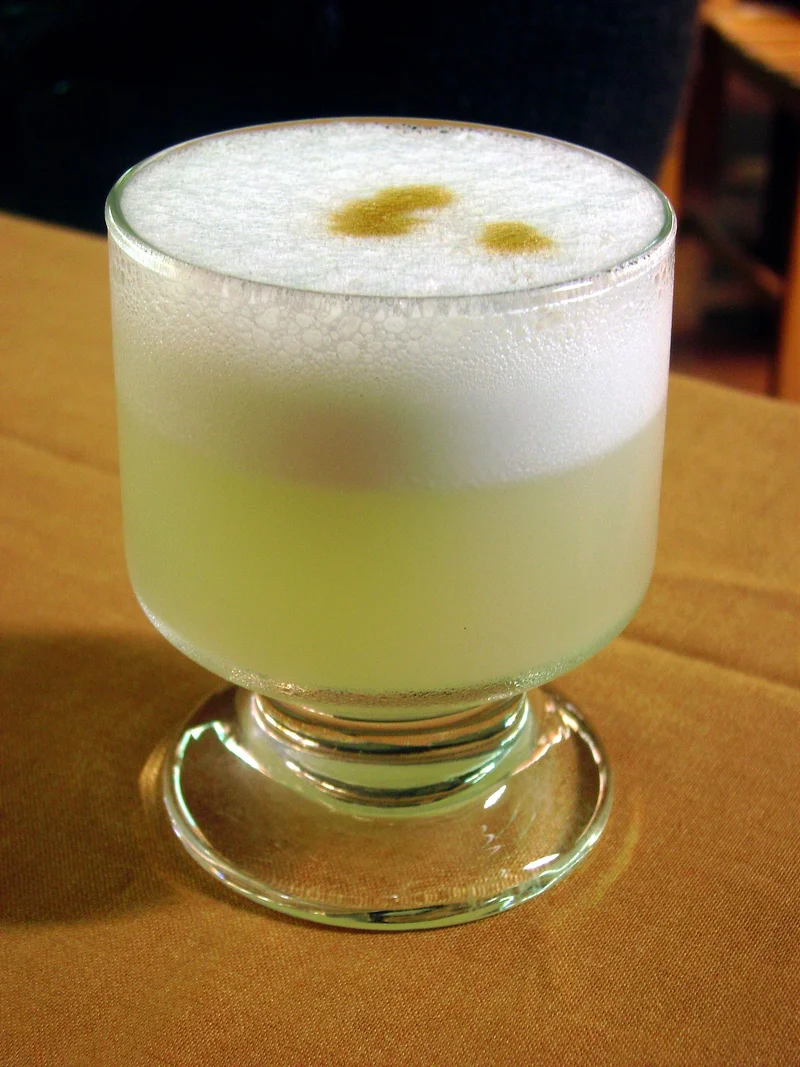 Pisco sour 20100613b