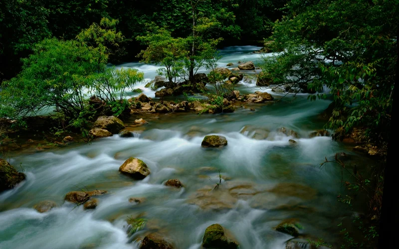 Imagen relacionada con El lujo del silencio: Slow Travel en los Alpes
