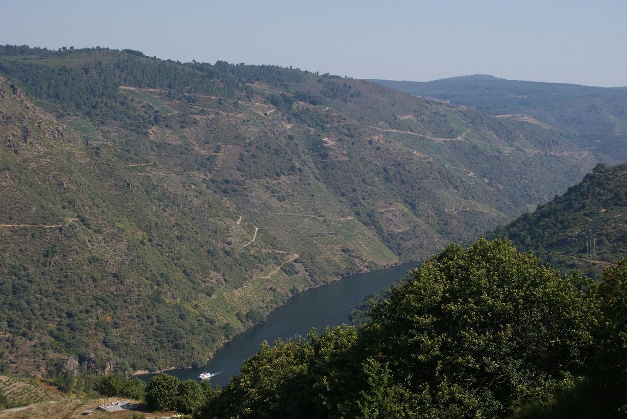 Vista aérea del río Sil serpenteando entre laderas montañosas cubiertas de vegetación y viñedos.