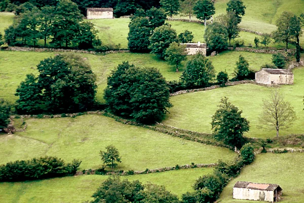 Valles Pasiegos y Puerto de la Sía