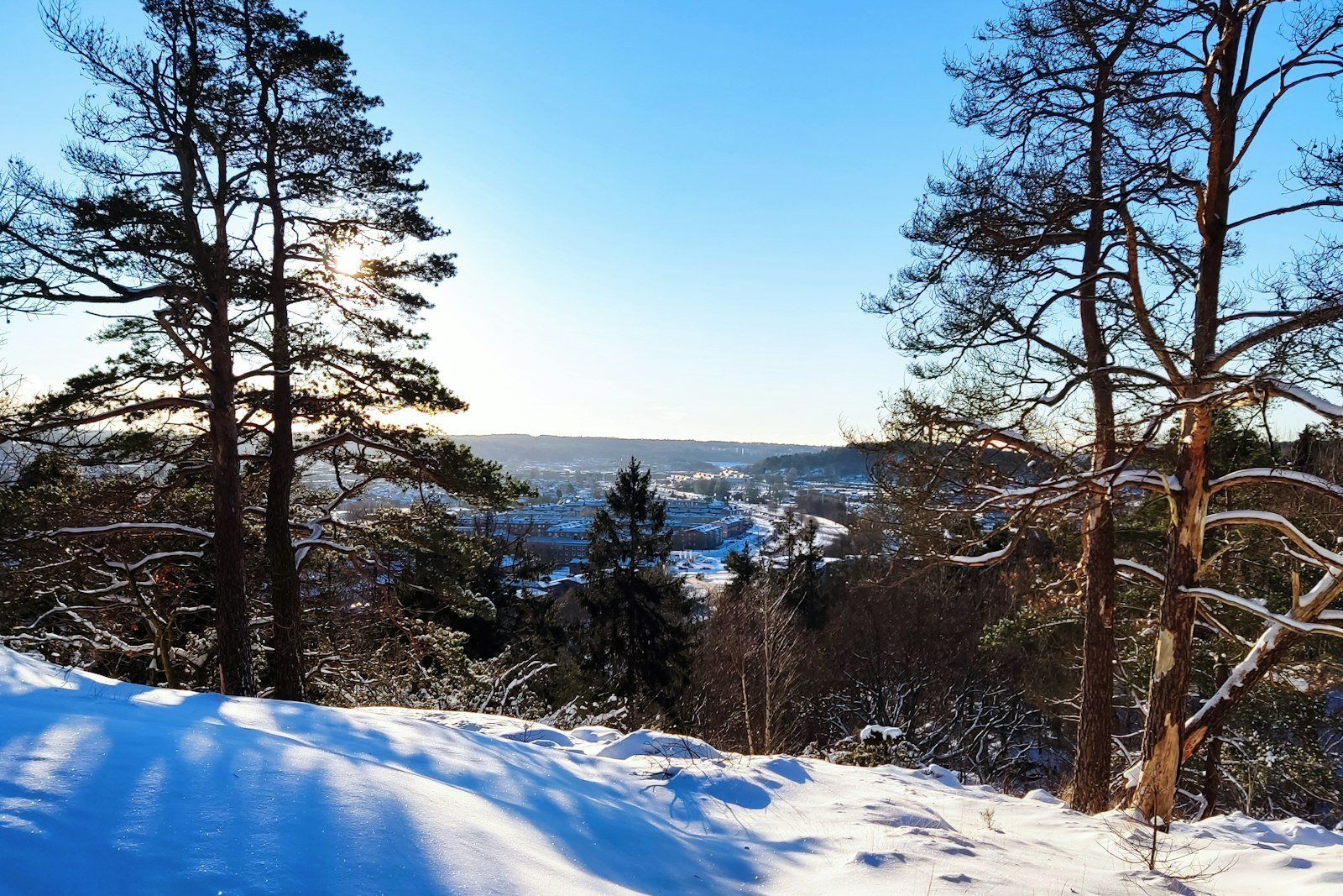 I thought everything looked grey and dark in northern countries, and for almost 2 years, I was right. But then, a day of snow, sun, and clear skies showed me that sometimes, Swedish forests can look bright and colorful in winter.